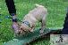 Welpen  24.05.2025 32